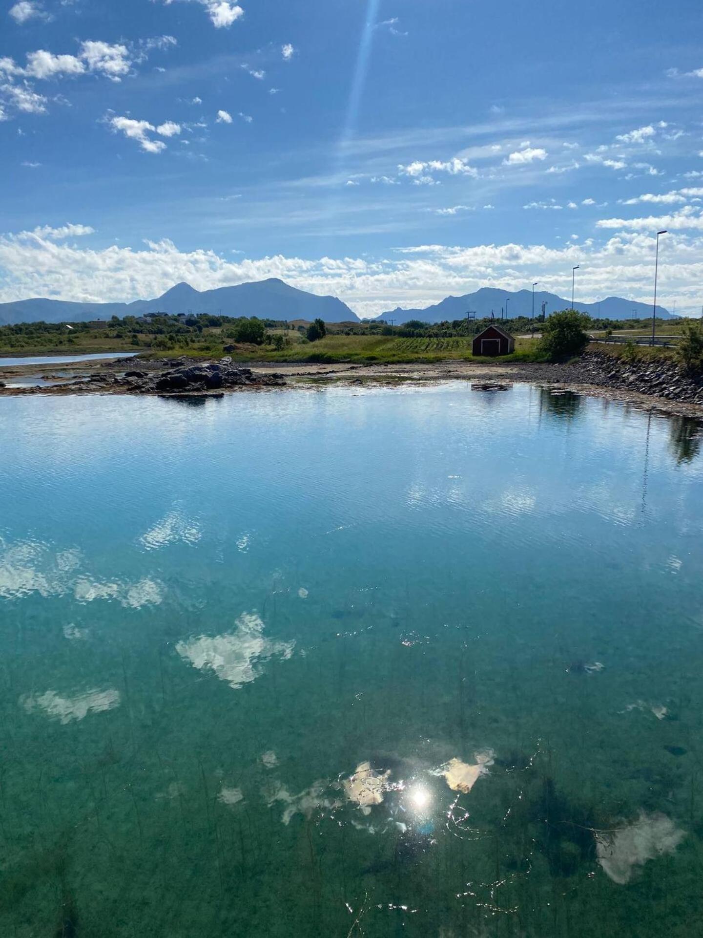 Rorbu By Nappstraumen, Lofoten Gravdal  Dış mekan fotoğraf